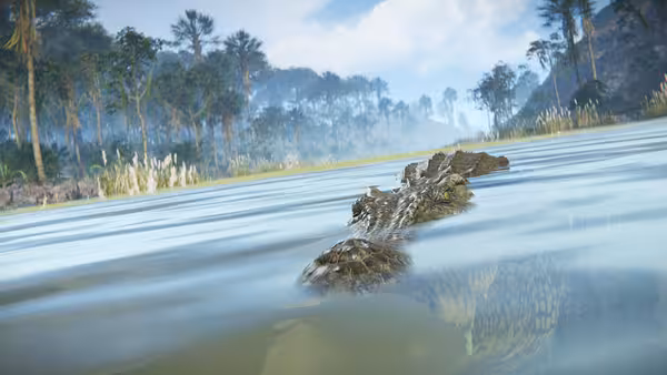 Crocodile