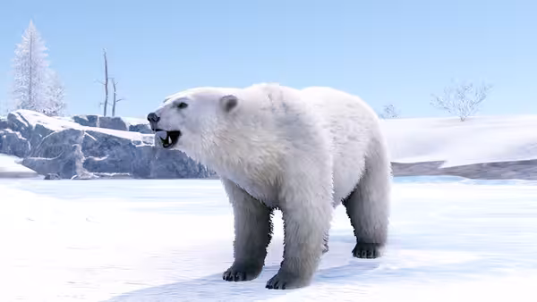 Polar Bear